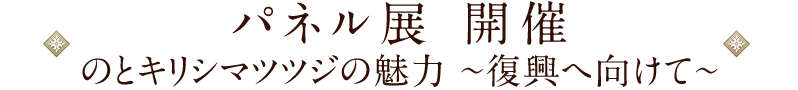 パネル展「のとキリシマツツジの魅力～復興へ向けて～」開催